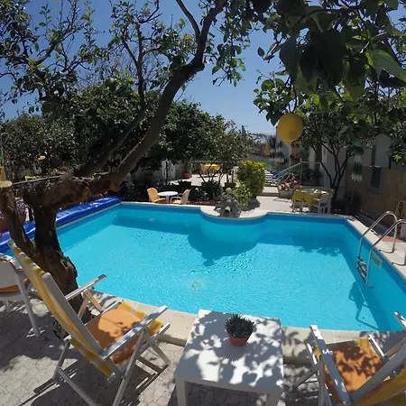 La Rondinella Forio di Ischia